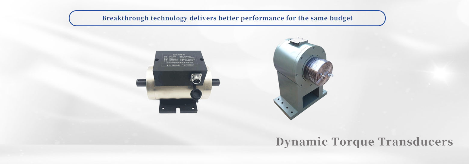 Dynamic torque sensor