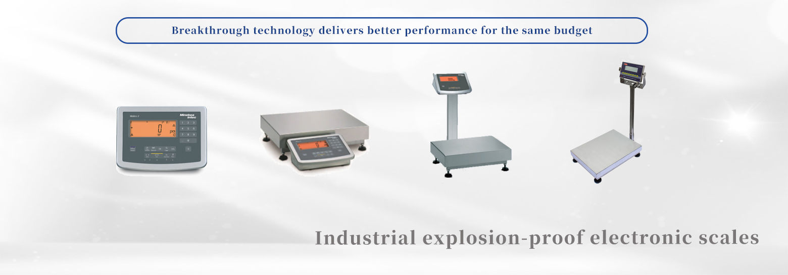 Industrial explosion-proof electronic scales