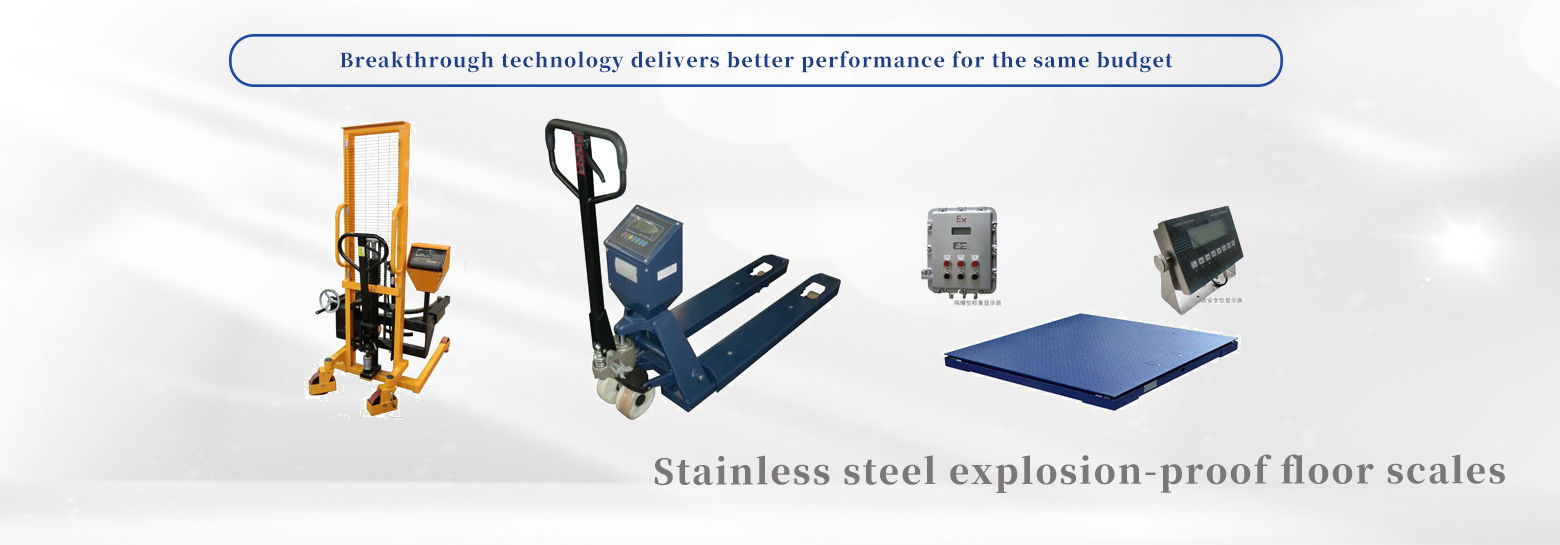 Stainless steel explosion-proof floor scales