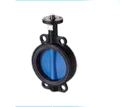 Acvatix Motorised Butterfly Valves